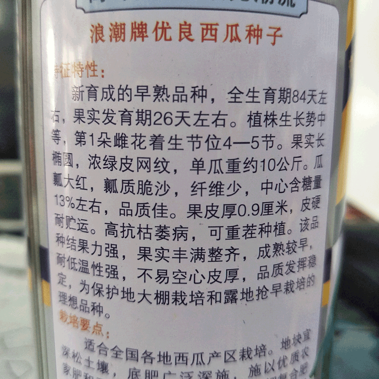 特大新红宝西瓜种子绿皮西瓜种抗病早宝早熟红心甜赣新红宝原装50克