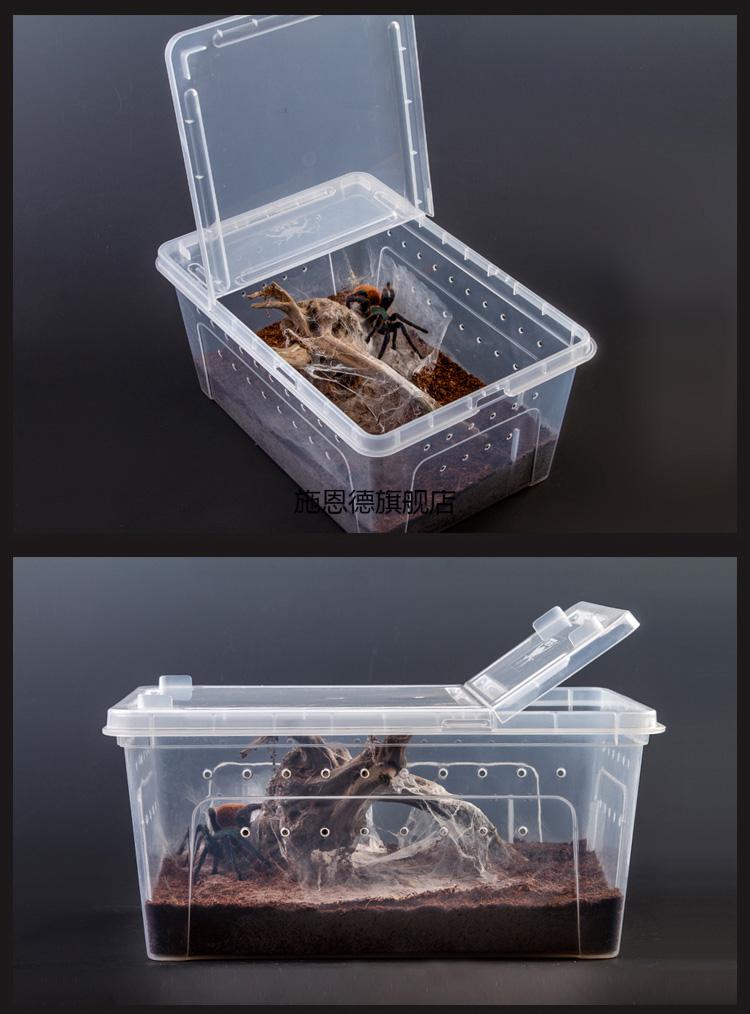 爬宠睫角守宫饲养箱爬虫饲养盒蜘蛛角蛙蜗牛仓鼠箱乌龟缸寄居蟹饲养缸