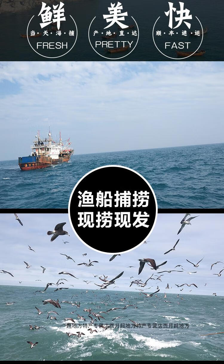 梭子蟹鲜活大红膏蟹野生椰子蟹花盖蟹二母蟹深海螃蟹舟山海鲜水产