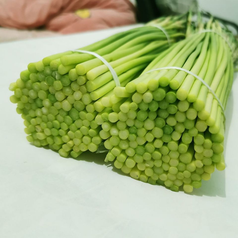 新鲜蒜苔今年刚上市湖北露天蒜苔新鲜农家自种自然生长时令蔬菜 1斤