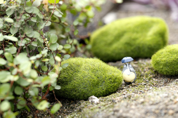 微景观摆件新款仿真苔藓石头青苔石头多肉植物盆栽小摆件创意摆件