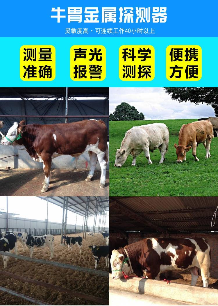 金属探测器牛胃属探测仪扫描器高精度兽用探测器动物马羊肚子测铁器猫