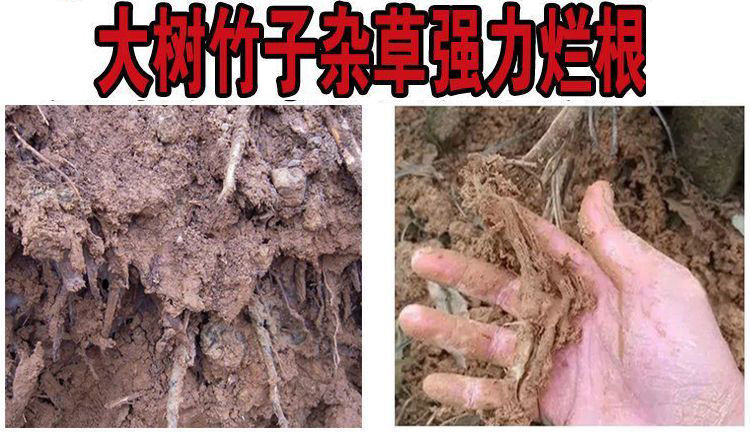 烂根杀树除杂竹草甘膦工厂除竹子药灭竹林 高浓度200克2瓶(2袋超强