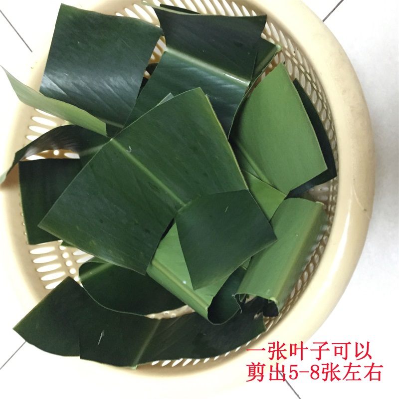叶儿粑叶子四川宜宾猪儿粑叶子新鲜材料做鸭儿叶良现摘叶子10张