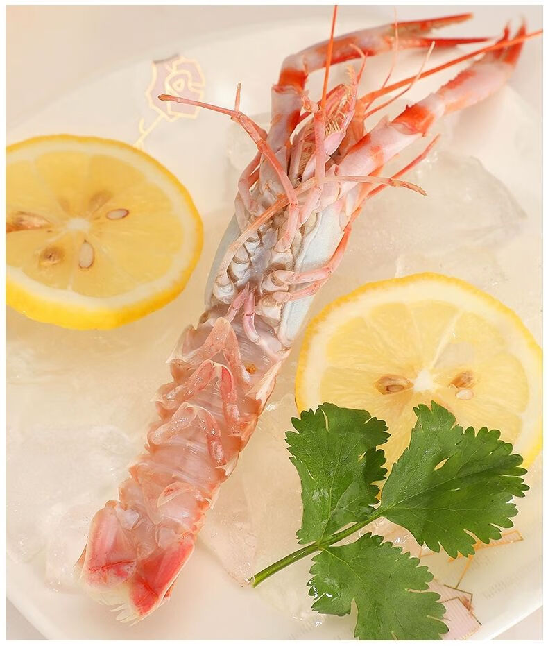 新鲜海龙虾海螯虾鲜活超大虾皇深海生吃虾刺身海虾铁甲虾活物 3斤装