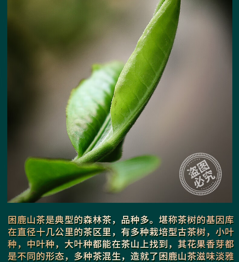 fcbf3e981add06aa.jpg