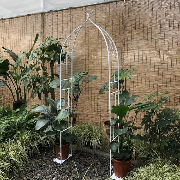 铁艺葡萄架钢管铁线莲月季拱门花架爬藤架子拱形攀爬植物支架户外黑色