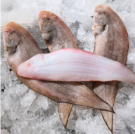 龙利鱼舌头鱼龙利鱼海鲜海产品鲜活海鲜非巴沙鱼 三斤装一条约4两-6两