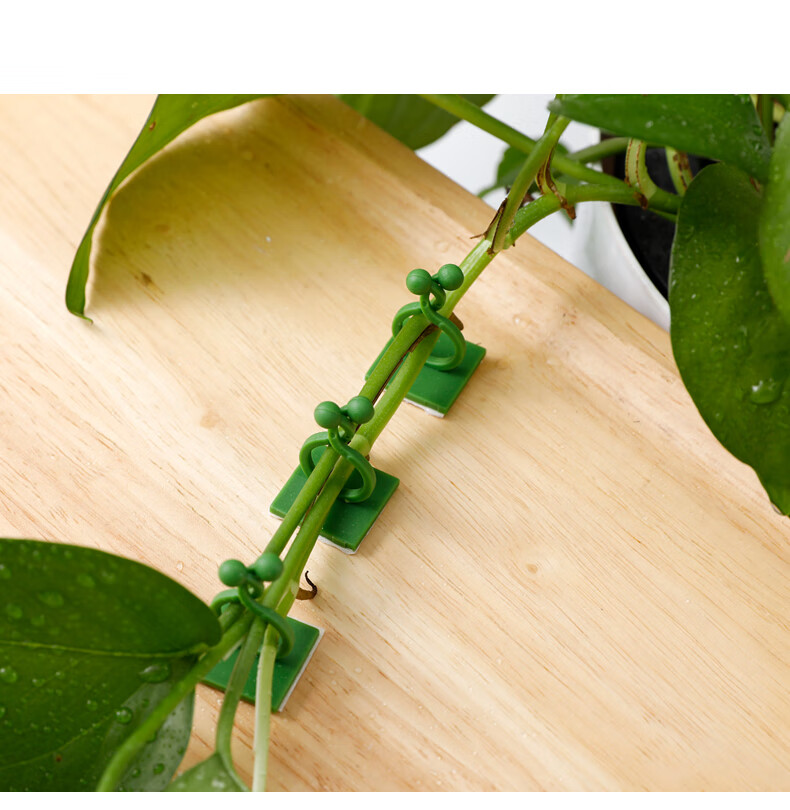 绿萝固定器挂墙绿萝爬墙神器植物固定器藤蔓夹扣卡扣长藤夹子卡子无痕