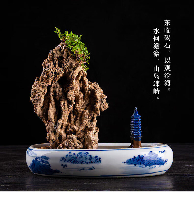 吸水石盆景假山精品芦管石天然吸水石原石摆件上水石假山山水盆景麦管