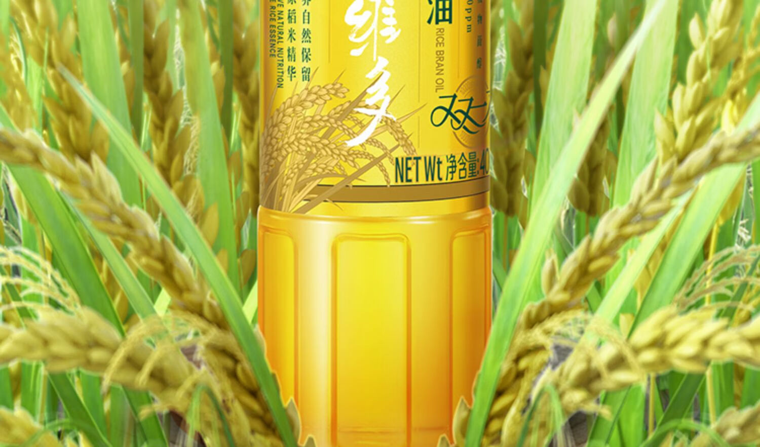 5折食用油小瓶装稻米植物油 宿舍油炒菜油色拉油食用团购批发【图片