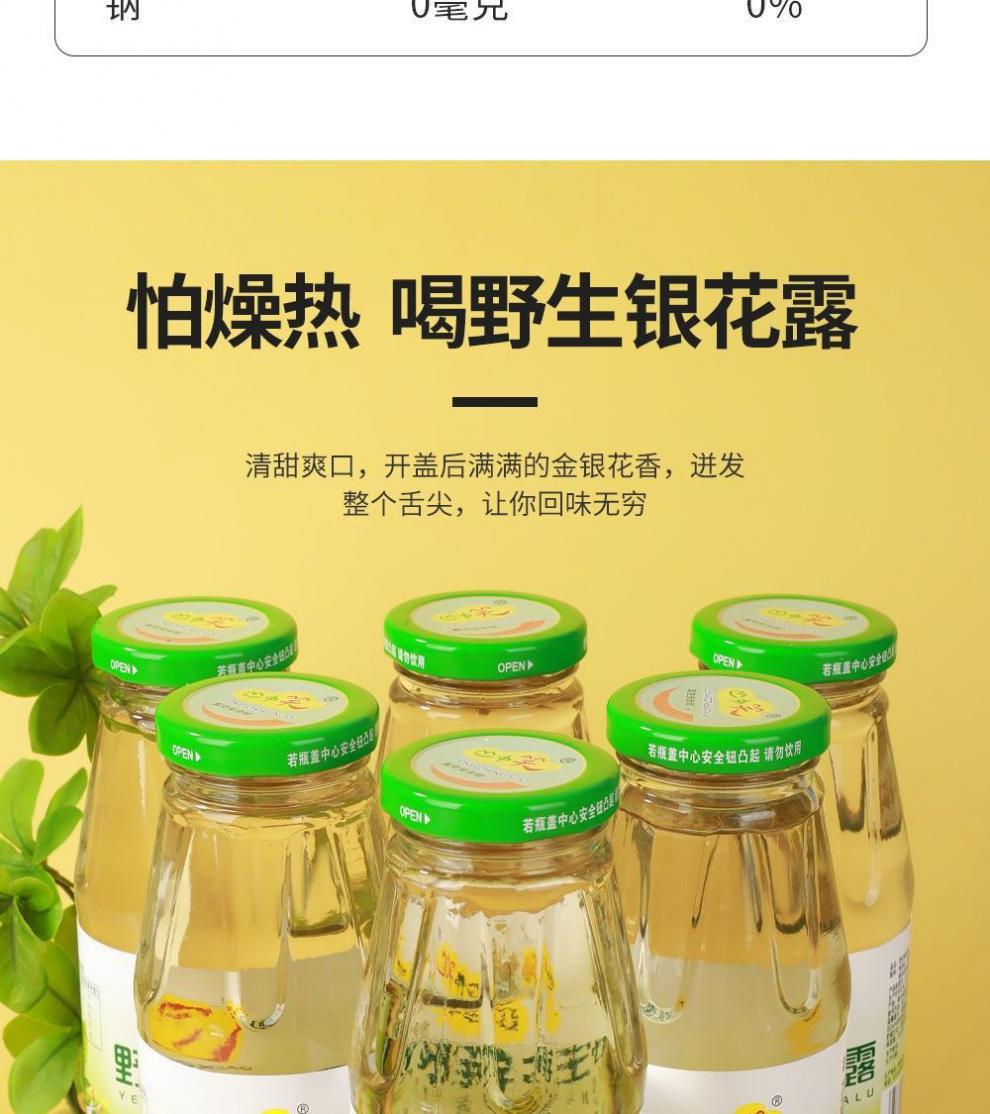 大别山金银花露 瓶装湖北野金银花露植物饮料儿童甘露 340ml*24瓶