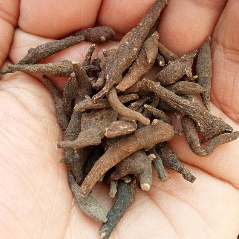 北京同仁堂原料中药两头尖250g两头尖草乌喙红背红被银莲花内廷上用