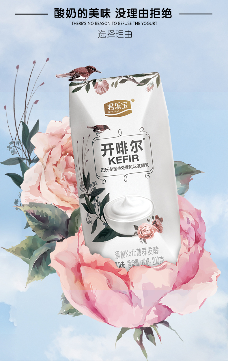 开菲尔酸奶 酸奶原味草莓味混合开菲尔8种益生菌发酵 原味24盒【10月