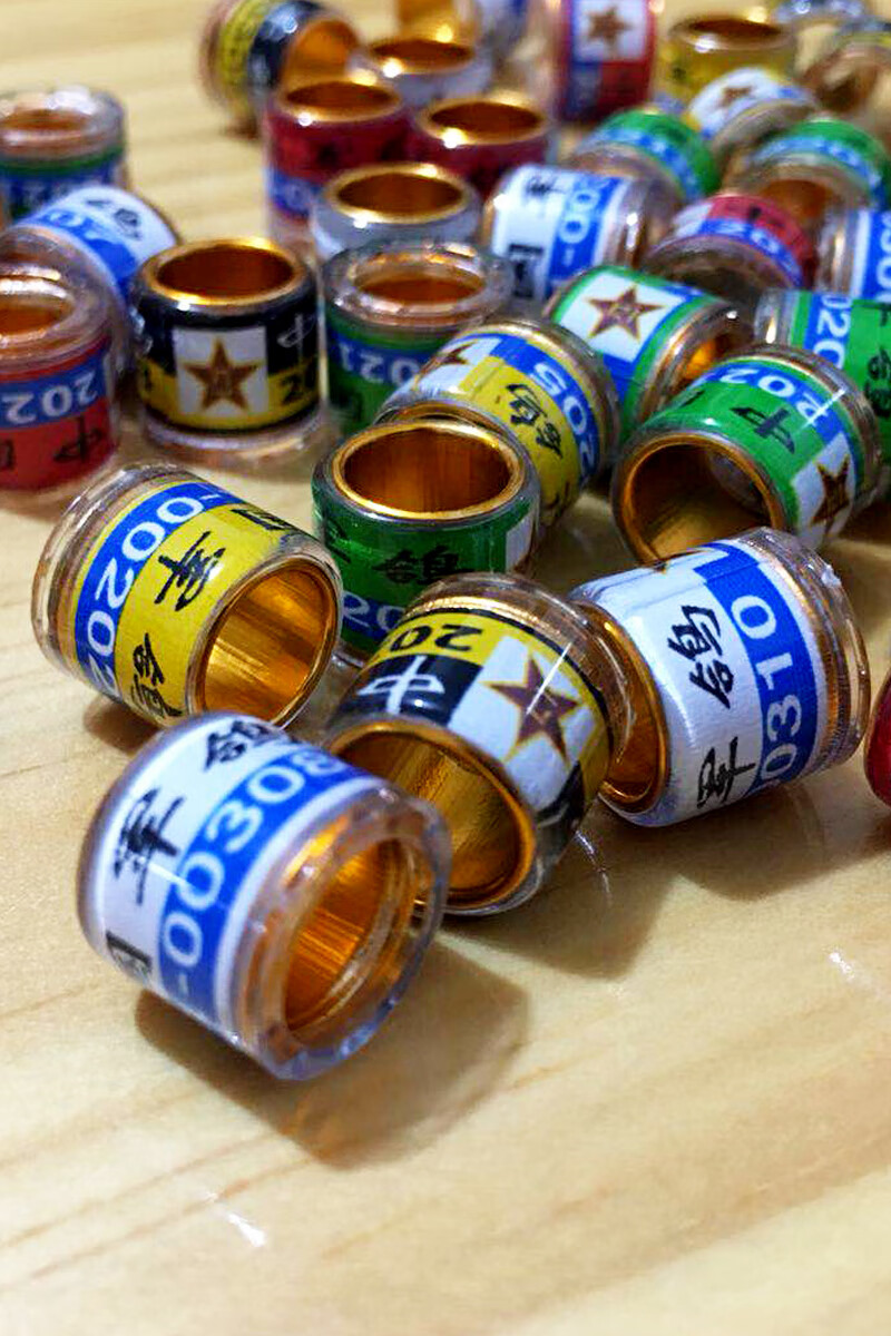 极墨鸽子脚环2022年中国军鸽环信鸽足环赛鸽记号识别环种鸽环用品用具