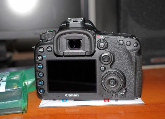 全新原装 佳能 7d mark ii 7d2 7dii 同款单反相机 可配18-135 糖蚁