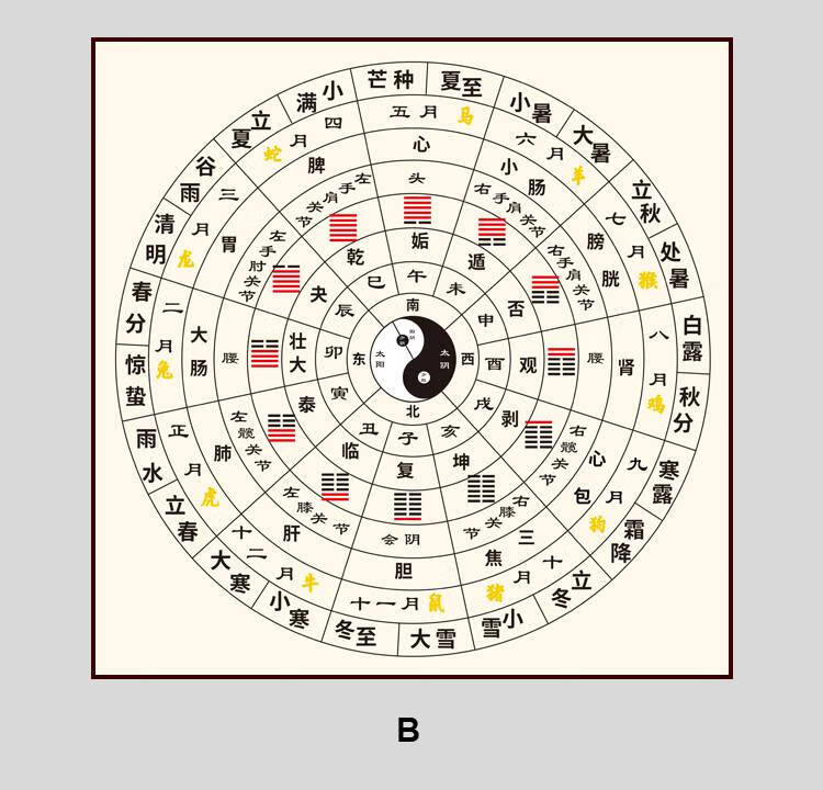 五行太极八卦二十四节气经络十二时辰周易易经八卦中医养生图挂画 a款