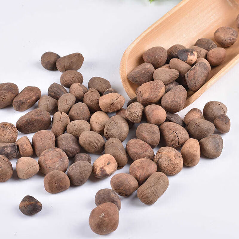 中药材大枫子大风子大枫子仁麻风子非自然生100g500g无硫磺 大风子100