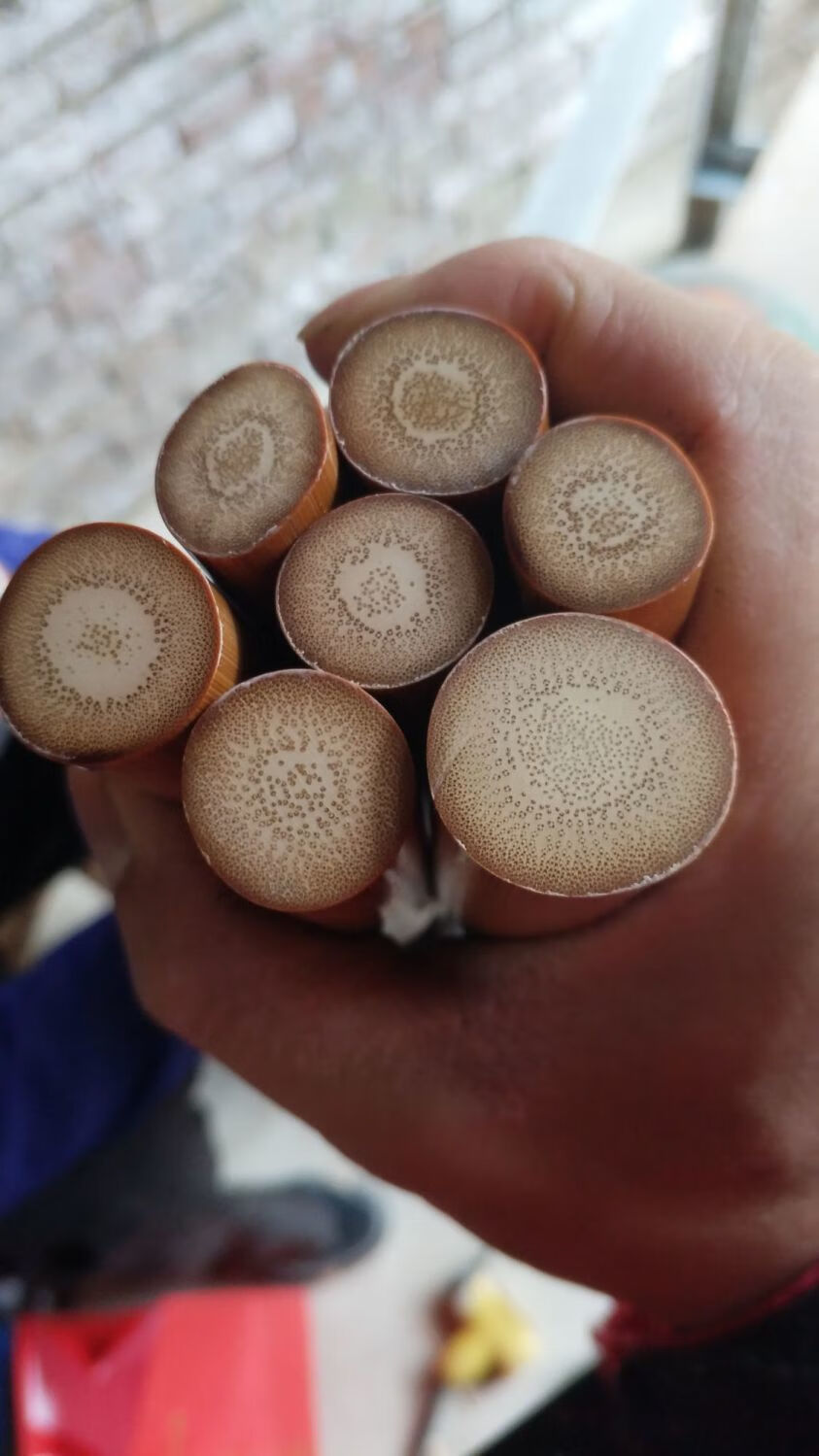 成品实心玉竹文玩手把件玉化老料特级竹子竹雕刻异形批发天然材料