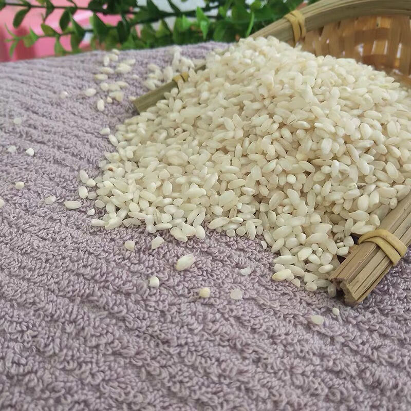 银济陈米珍桂矮糙米 早籼米 广东广州潮汕石磨肠粉 早餐店专用米 阳春