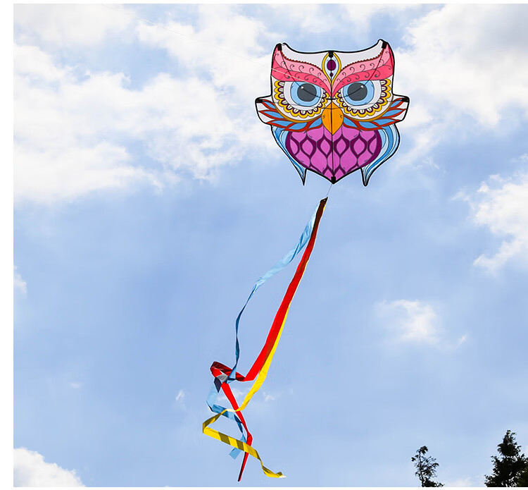 潍坊风筝大人专用大型高档猫头鹰风筝儿童微风易飞拍照道具中国风卓渠