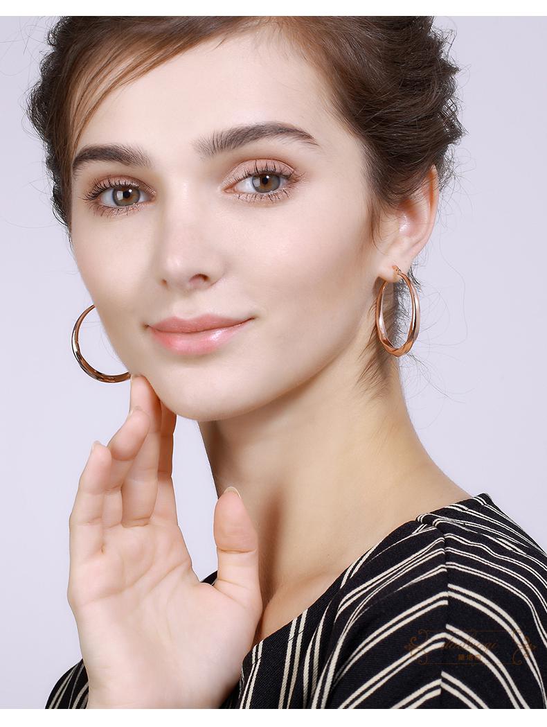 黛洛奇轻奢品牌欧美大圈圈耳环女气质感显脸瘦的圆圈耳饰新款潮网红