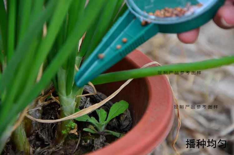 种子花卉播种器穴盘播种盒育苗盘辣椒番茄黄瓜茄子花籽点播器神器 可