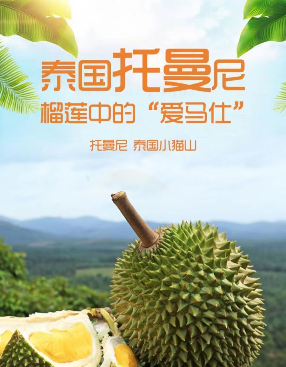 顺丰速运泰国进口托曼尼榴莲新鲜整果热带水果精选a级果12个665斤包5