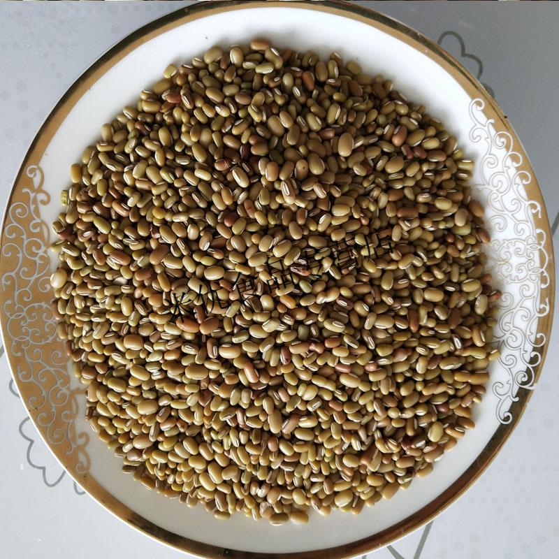 重庆石柱特产高原米豆新豆米小豆米酸菜豆米农家肥自种5斤