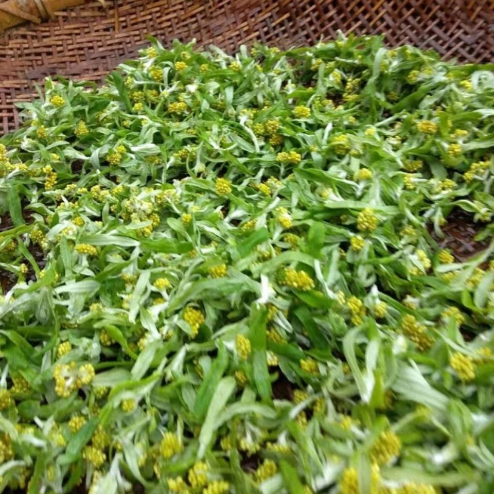 贵州黎平三月粑锦屏清明节特产农家黄草粑甜藤粑三月粑2斤装叶包黄草