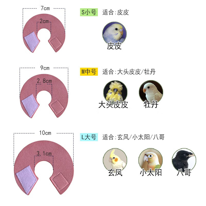 伊丽莎白圈鹦鹉鸟用伊丽莎白围脖衣服防咬毛啄毛受伤保护项圈脖套斗篷