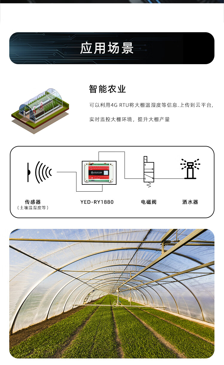 ff96ff25407eda4b.jpg