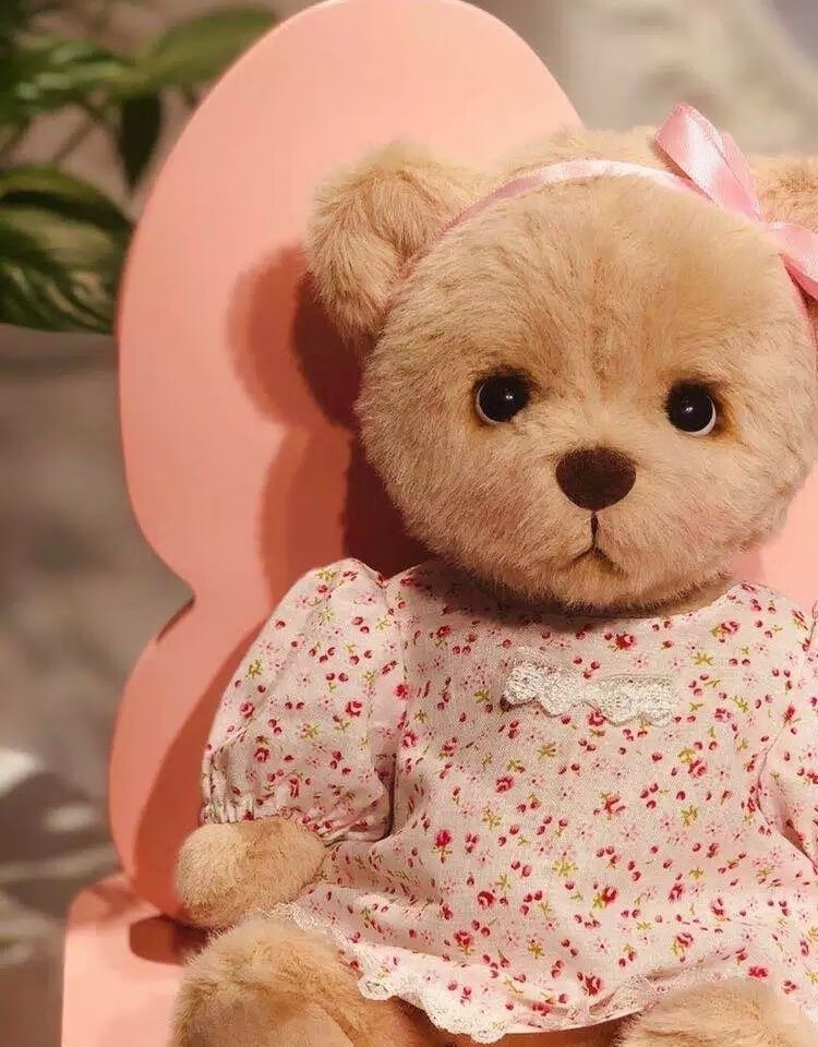 京选推荐手工泰迪关节小萌熊好莱坞女星莉娜同款熊毛绒公仔衣服节日