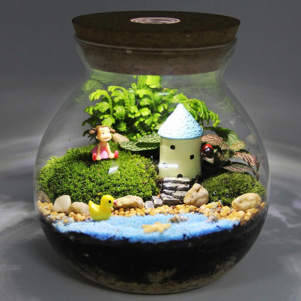 微观苔藓绿植物玻璃微景观组合盆栽生态瓶diy材料包盆景套装润景苹果