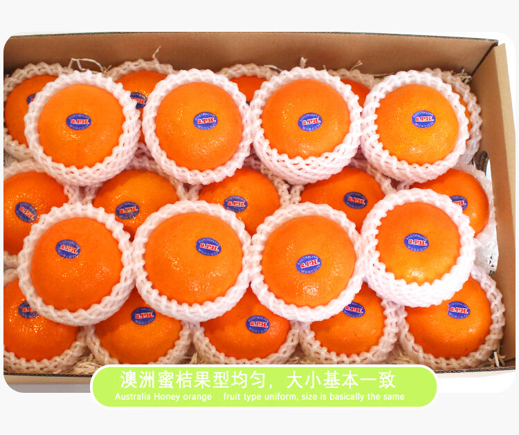 fffc5105a1238995.jpg