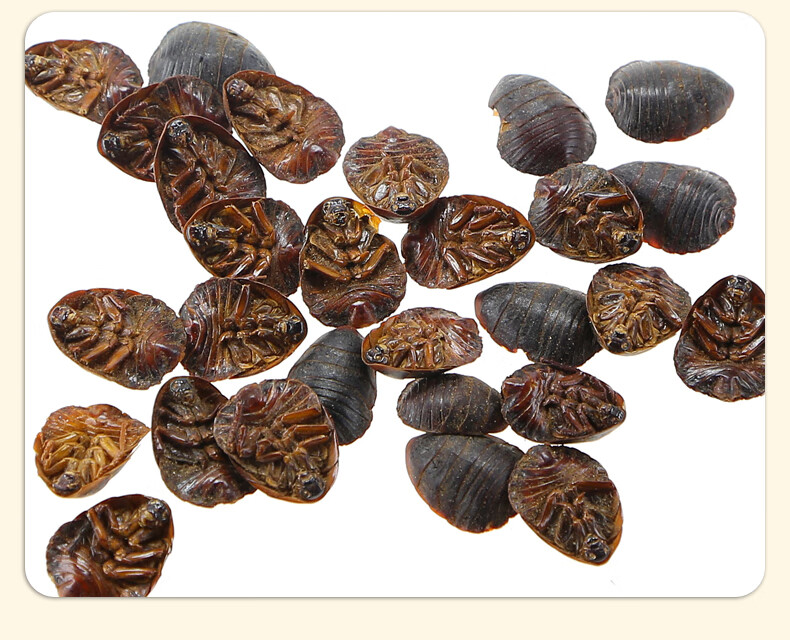 土元500g地鳖虫 土元粉土鳖虫干土鳖虫粉【图片 价格 品牌 报价】-京