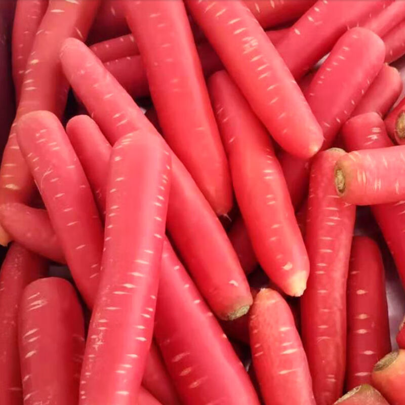 年货精选新鲜甘肃现挖沙地水果拇指胡萝卜红心红皮胡萝卜生吃甜脆新鲜