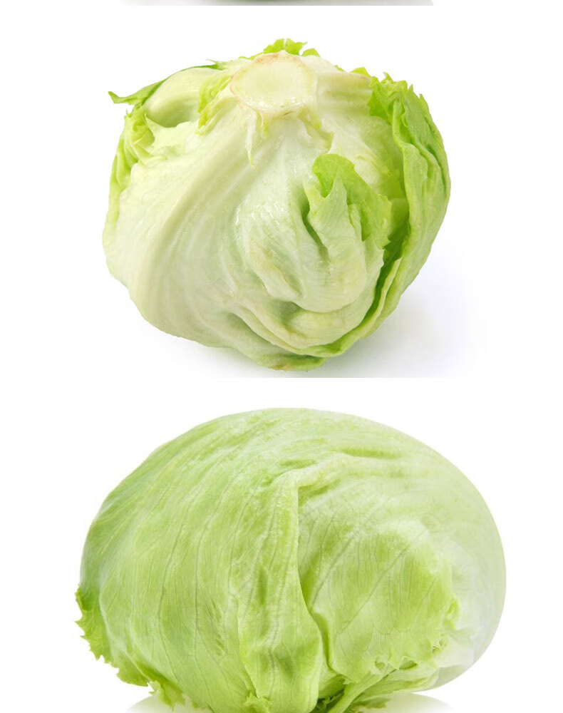 鲜美惊 球生菜新鲜圆生菜西生菜新鲜圆生菜顺丰快递5斤西餐沙拉 2500g