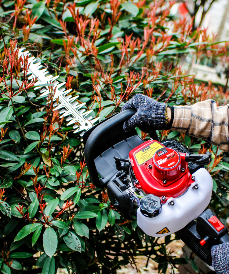 道什威尔 tosrwell 绿篱机汽油茶树修剪机剪茶机修枝剪绿篱剪园林灌木