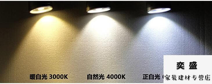 射灯7w12w24w30w服装店展厅h209 cob导轨射灯 30w 白壳 暖白光3000k