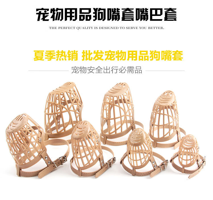 a79a88a4059428ce.jpg