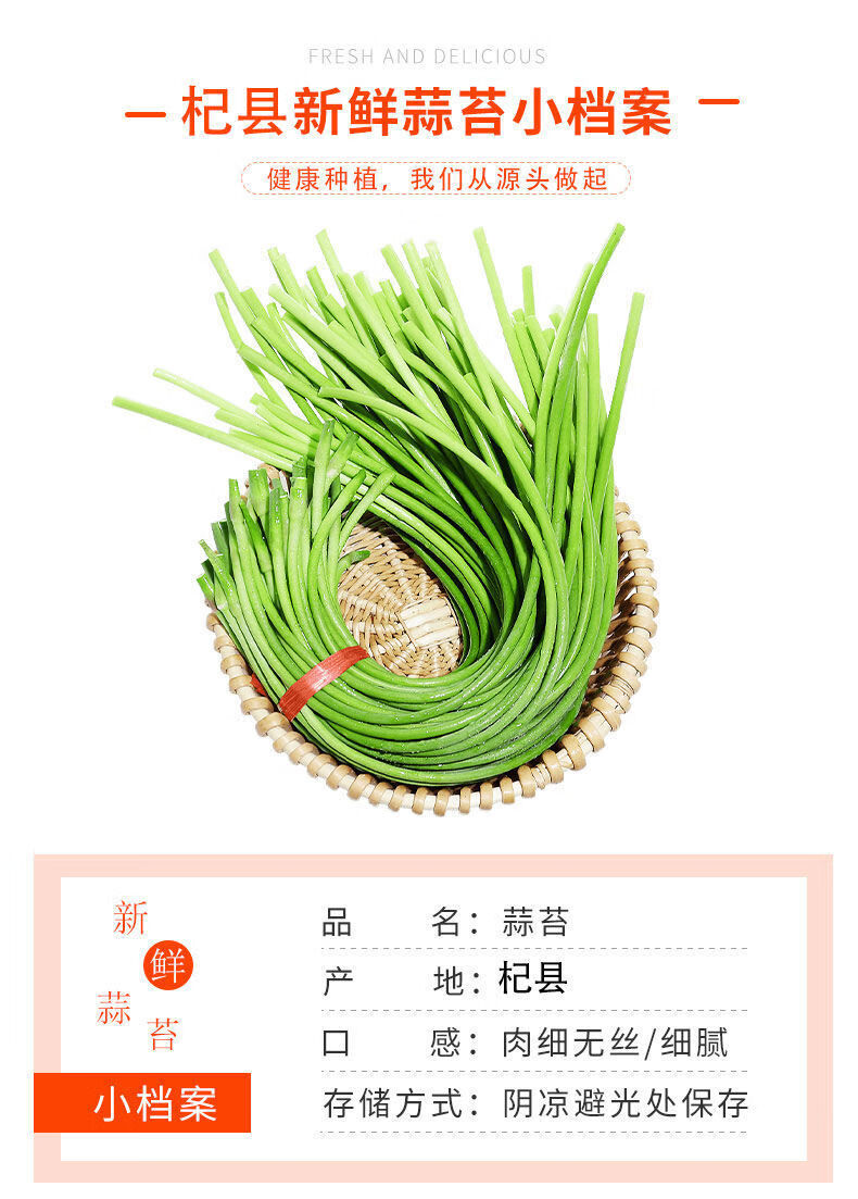 2021新鲜农家自种蒜苔当季蔬菜脆嫩短蒜苔红帽蒜薹嫩蒜苗产地直发2斤