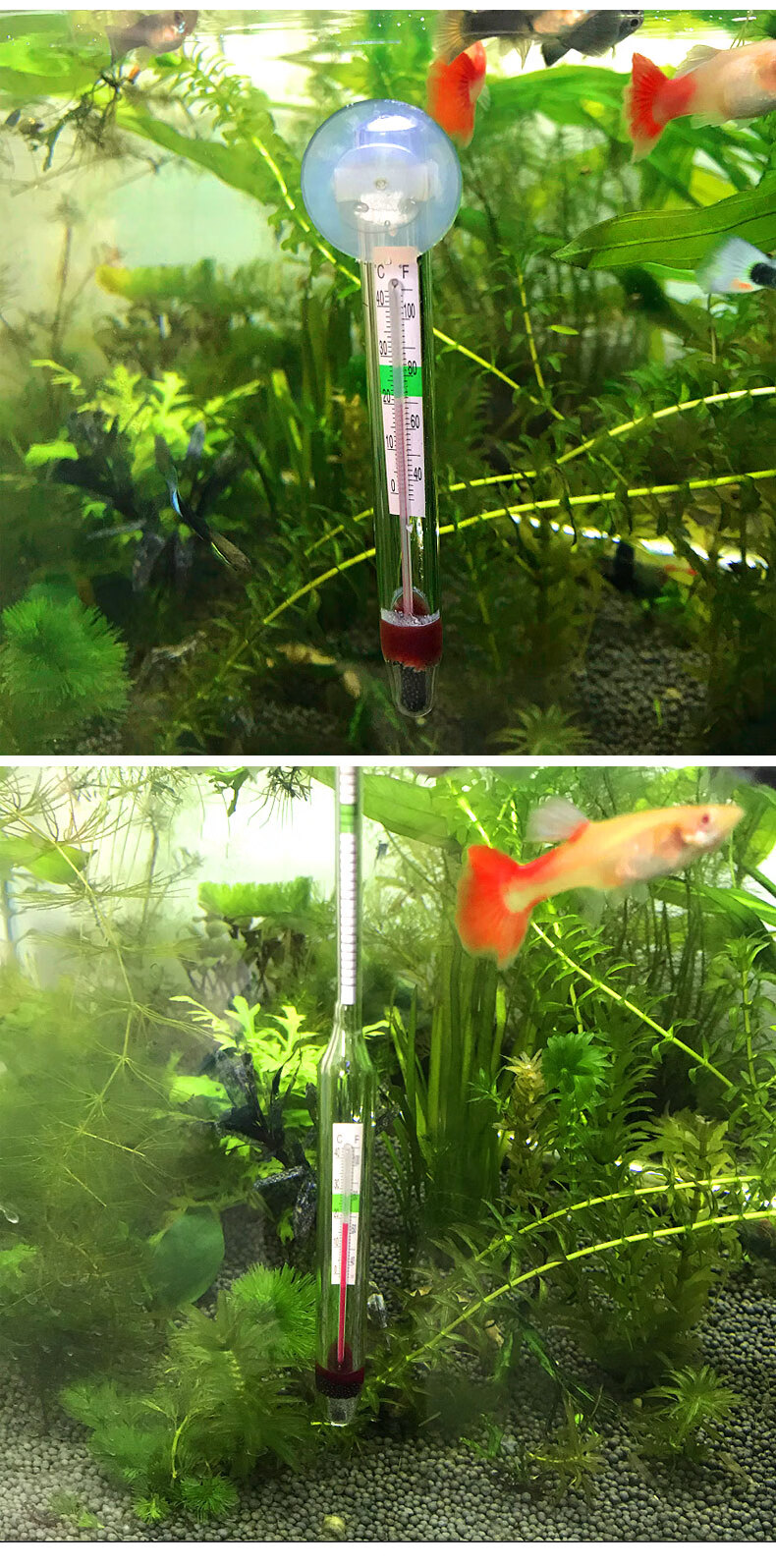 鱼缸温度计养鱼水温计乌龟缸水族箱热带鱼测温仪器海水鱼盐度计 可