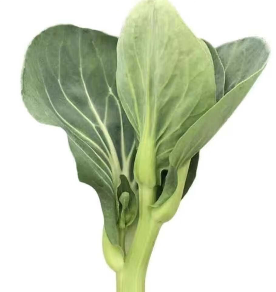 轻恋5斤露天霜冻新鲜蔬菜青菜苔菜头菜心清甜甘儒爽口菜苔 5斤【图片