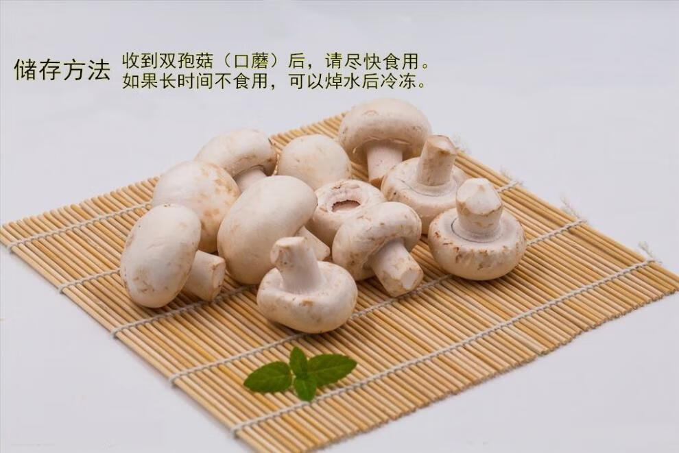 京选新鲜口蘑白蘑菇双孢菇批发食用无公害营养火锅烧烤食材时令蔬菜