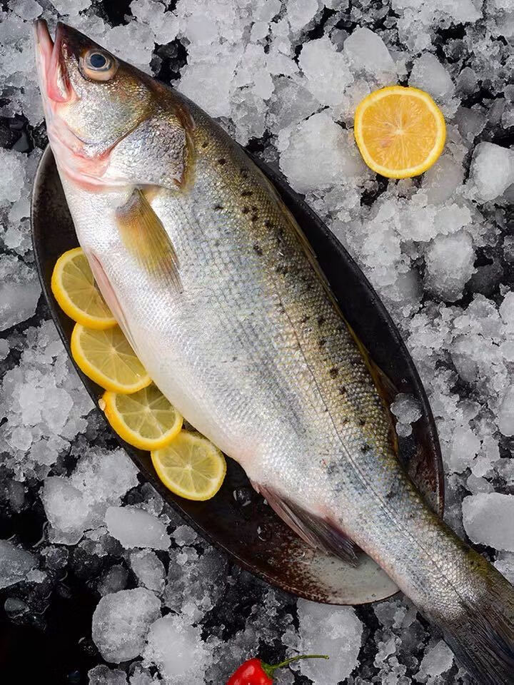 【顺丰】纯海鲈鱼 单条3斤-6斤以上 大鲈鱼新鲜花鲈鱼 5-6斤/条