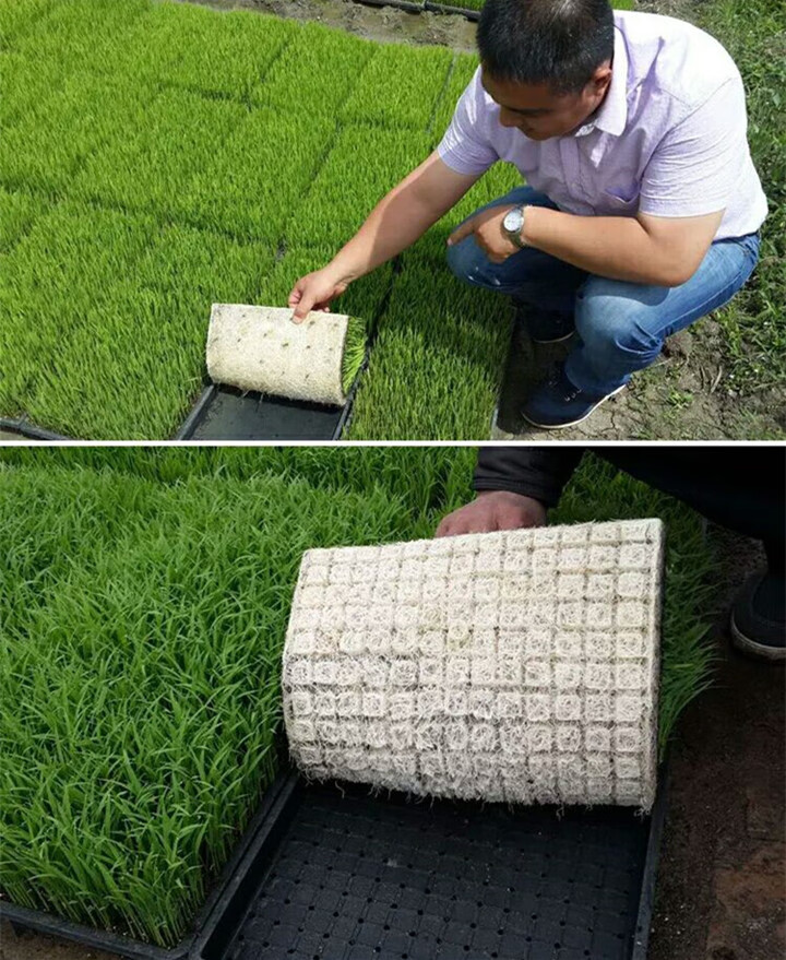 采缇育苗基质水稻育秧基质有机营养土瓜果蔬菜种菜水稻家庭园艺有机肥