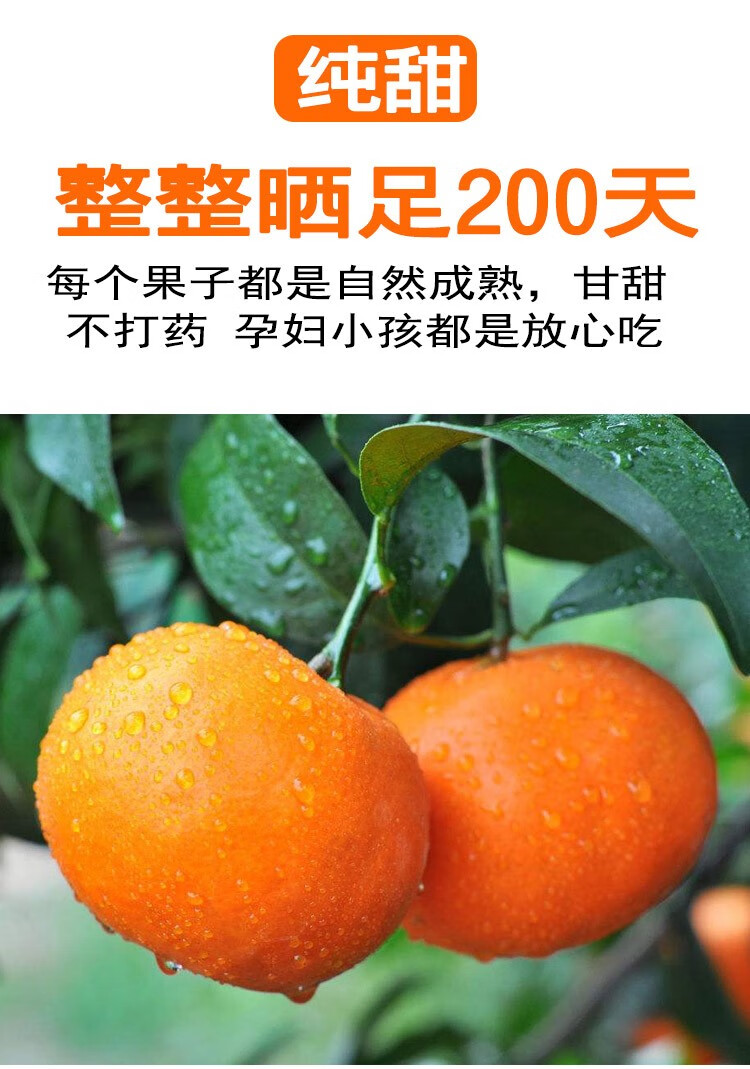 广西茂谷柑脏脏柑橘不带石灰粉香妃柑见水果沃甘果园直供超甜孕妇3斤