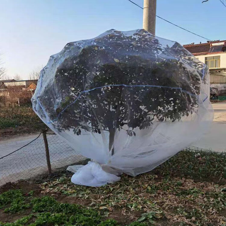 果树防鸟防虫网罩杨梅蓝莓大棚莲雾桃树樱桃罗曼防虫网罩防虫蚊帐9米