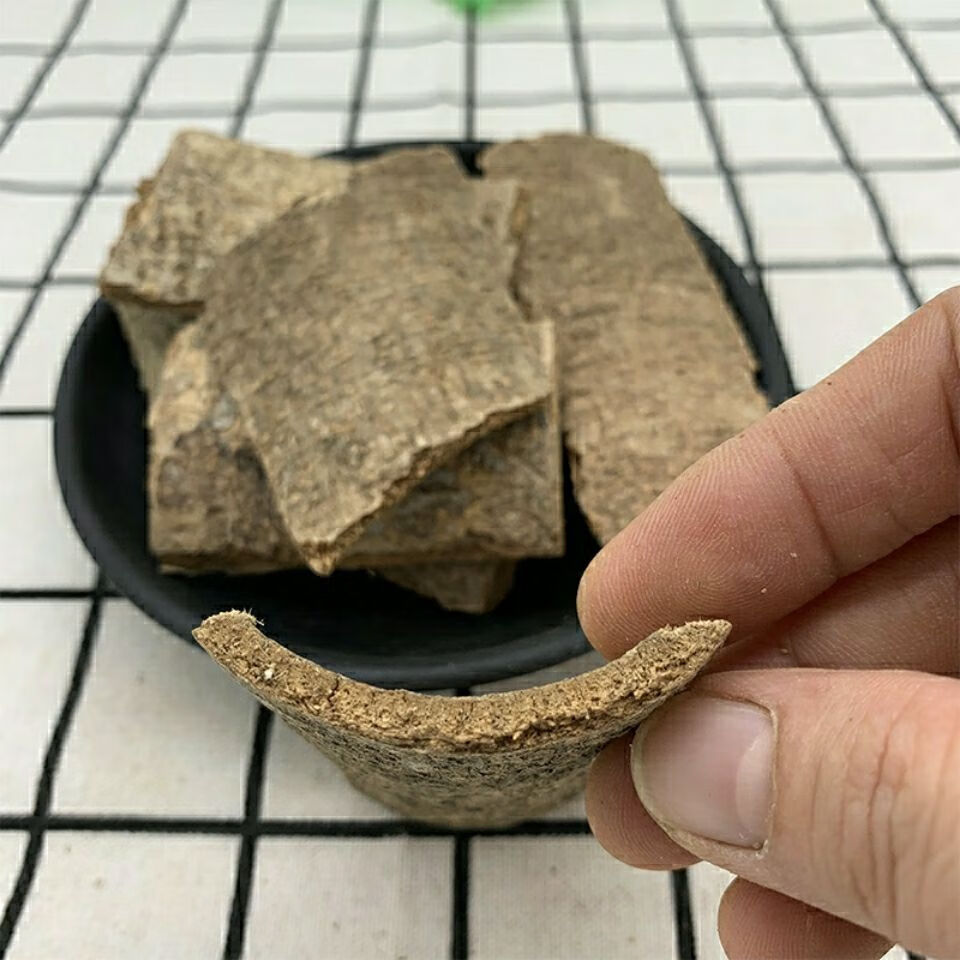 6015啡晨 中药材野生鸭脚木皮 鸭脚木 西加皮鹅掌柴鸭脚树皮100克